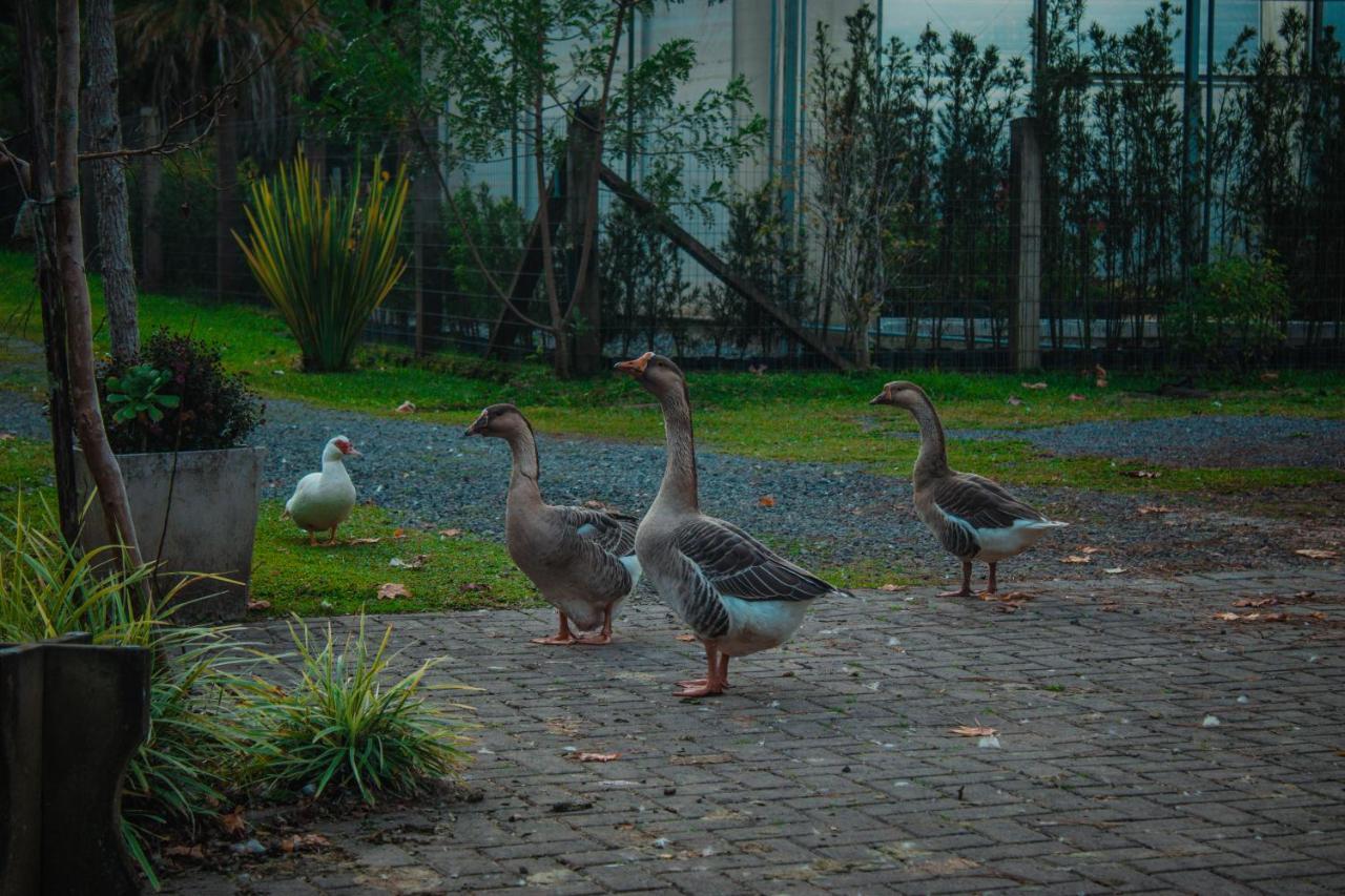 Gramado Motorpark Villa ภายนอก รูปภาพ